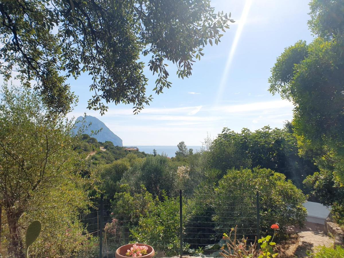 Appartamento Vasiliki Loiri Porto San Paolo Exterior foto